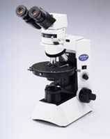 cx31 olympus microscope for sale