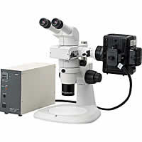 Nikon SMZ800 Stereoscopic Zoom Microscope with Epi-fluorescence Attachment