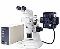 Nikon SMZ1000 Stereoscopic Zoom Microscope with Epi-fluorescence Attachment