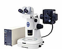 Nikon SMZ1500 Stereoscopic Zoom Microscope with Epi-fluorescence Attachment
