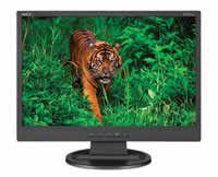 NEC LCD19WV Widescreen Desktop Display