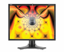 NEC MultiSync LCD2190UXi-BK-SV Flat Panel Monitor