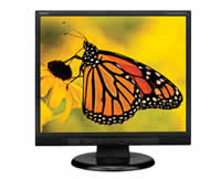 NEC AccuSync LCD73VXM-BK Flat Panel Monitor