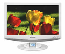 Sharp LC-19SK24UW LCD TV