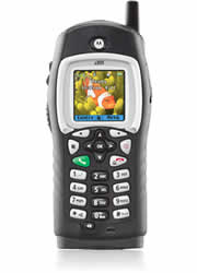 Motorola i355 Mobile Phone