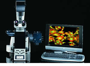 Leica DMI4000 B Inverted Microscope