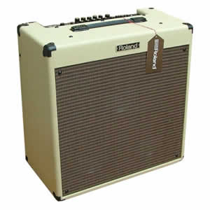 Roland BC-60/310 BluesCube