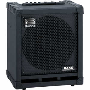 Roland Cube-100 Bass Amplifier