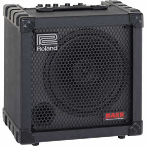 Roland Cube-30 Bass Amplifier