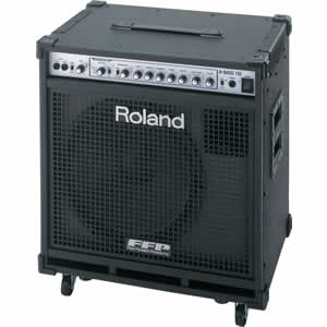 Roland D-Bass 115 Amplifier
