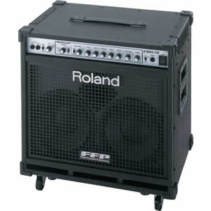 Roland D-Bass 210 Amplifier