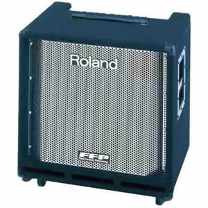 Roland DB-500 D-Bass Amplifier