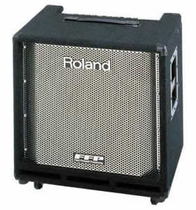 Roland DB-700 D-Bass Amplifier