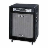 Roland DB-900 D-Bass Amplifier