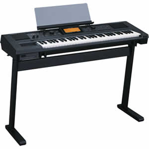 Roland RK-100 VIMA Recreational Keyboard