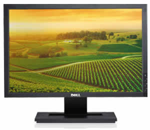 Dell E1909W Widescreen Flat Panel Monitor